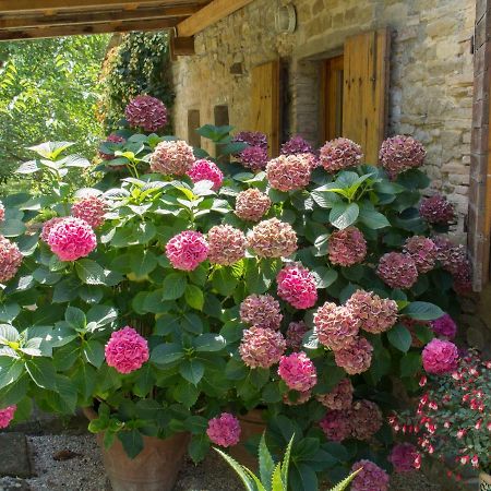 Bed and Breakfast Casa La Valle, Gubbio, Frazione Santa Cristina Экстерьер фото