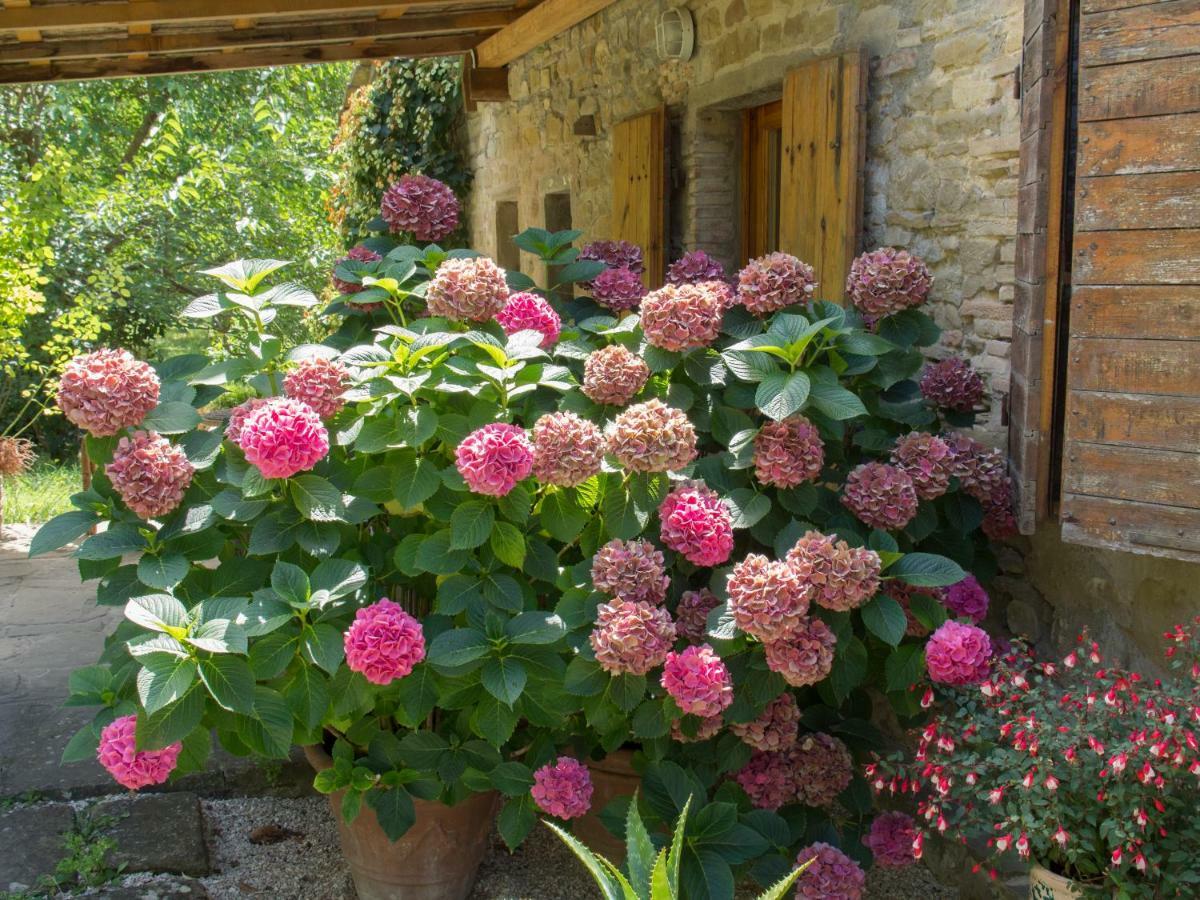 Bed and Breakfast Casa La Valle, Gubbio, Frazione Santa Cristina Экстерьер фото